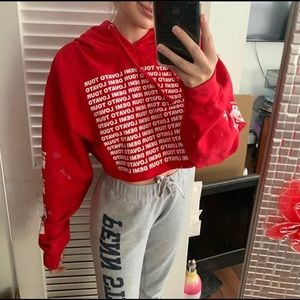 Demi lovato concert merch